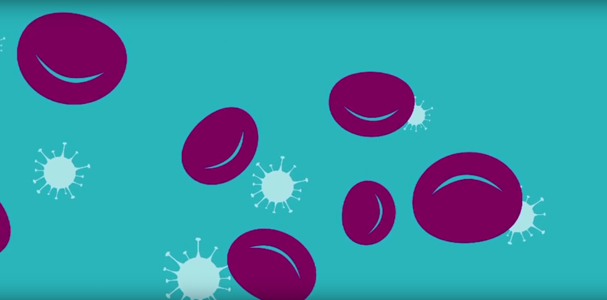 Hemophilia rescue story