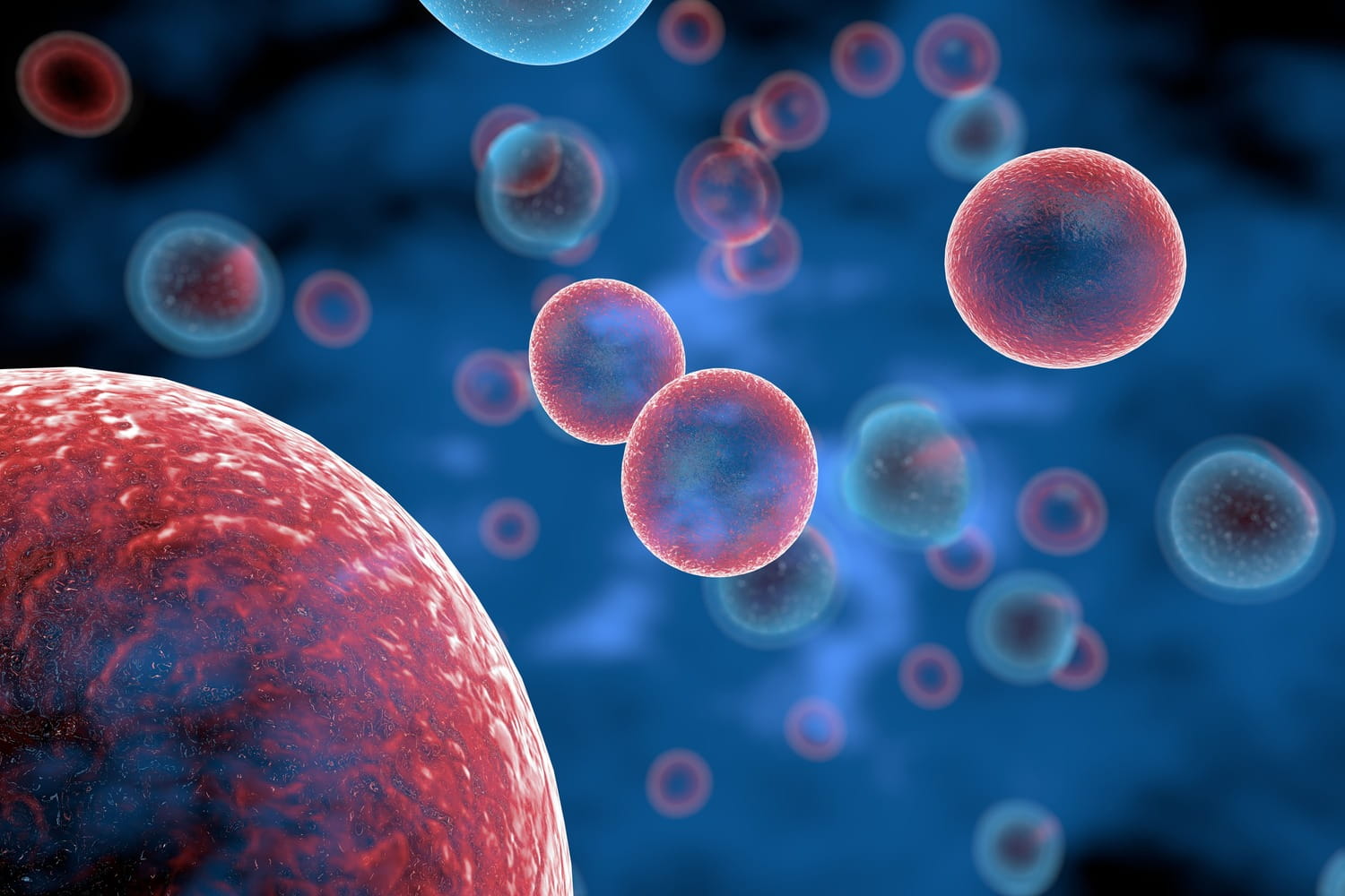 T Cells attacking cancer cells 3D illustration