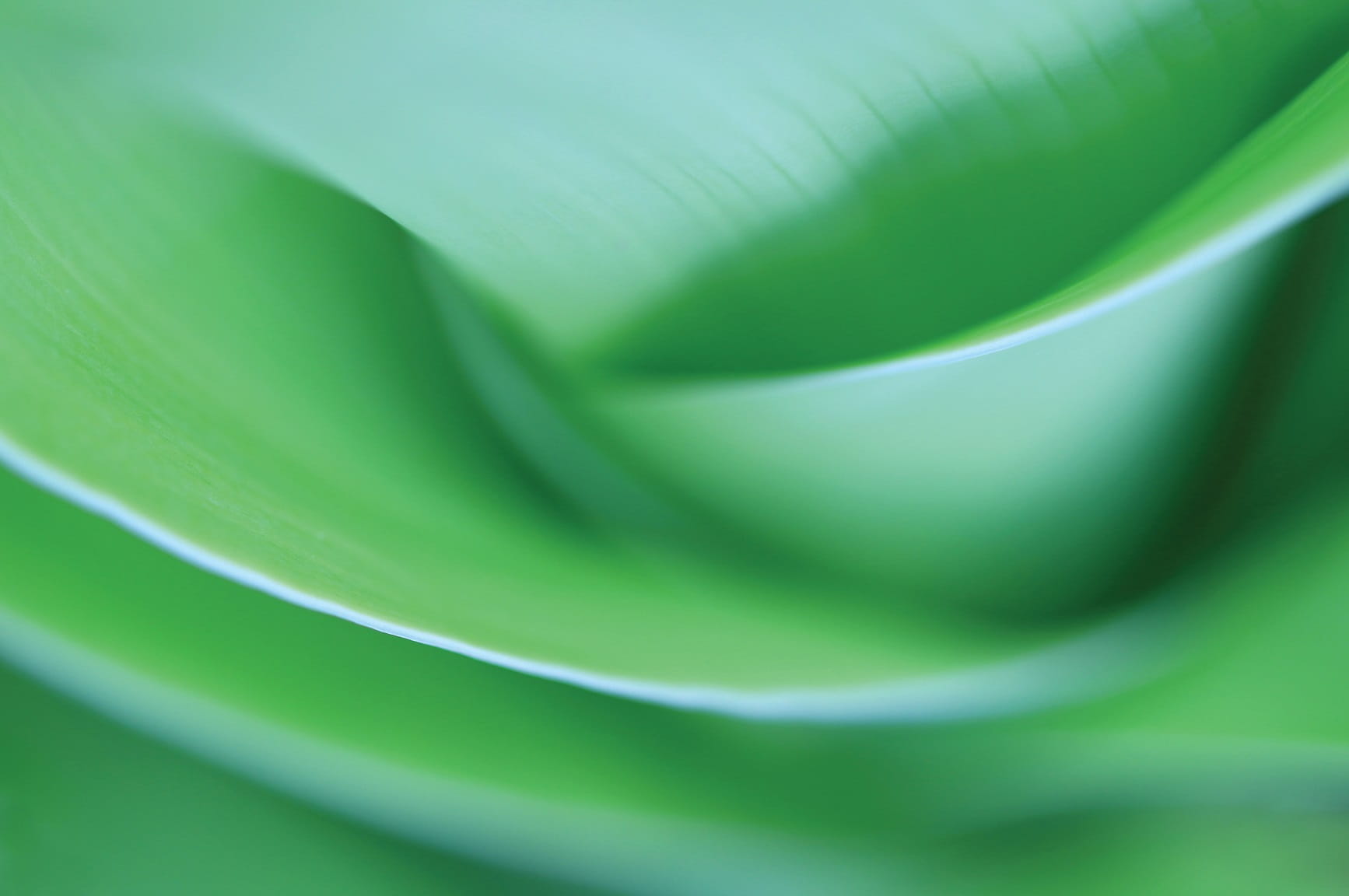 GettyImages-1194375521 LR